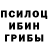 Псилоцибиновые грибы прущие грибы Vga Vda