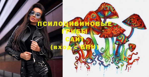 СК Козельск