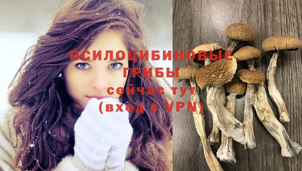 марки nbome Коряжма